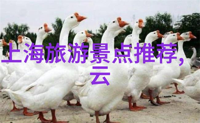 旅游攻略自助游2日我来吧两天一夜的自由行指南