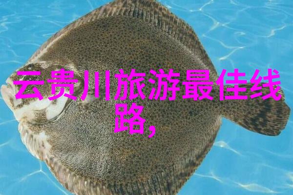 太湖畔风景画卷骑行探秘之旅