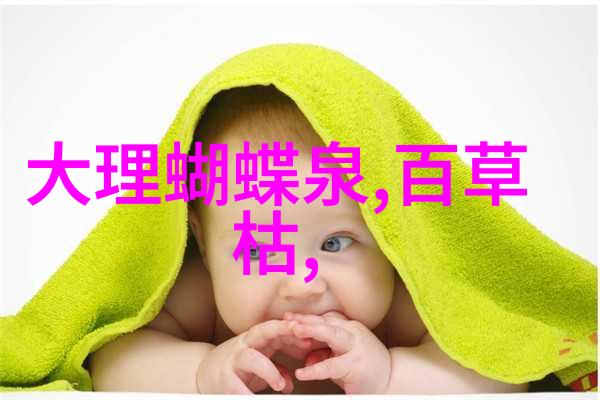 昆明西山风景区海拔多少米这不你就能在旅游网站制作中找到答案