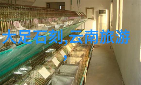 潮流之巅探索日本RAPPER顶级潮水3区的文化力量