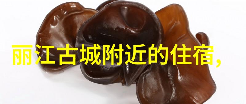 珠海野狸岛公园停车场收费标准寻找旅游团报销的绿意盎然之地