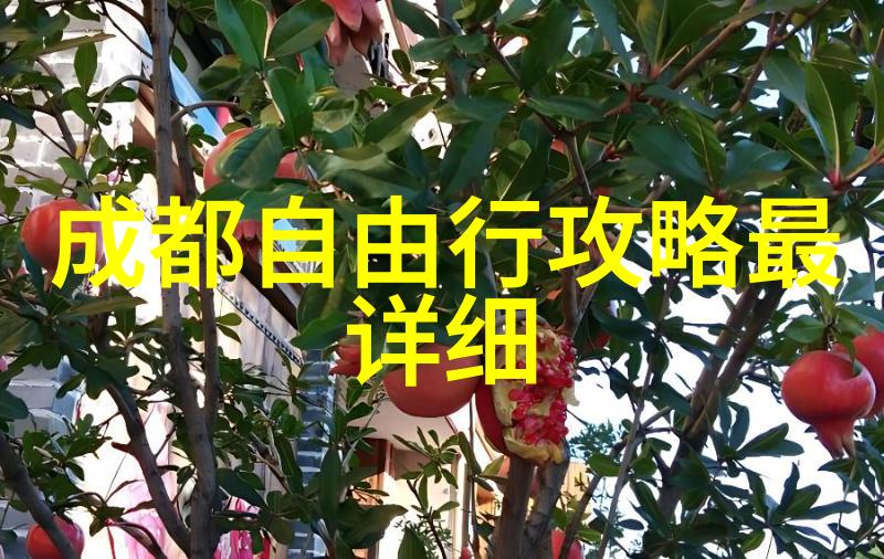 小吃特色培训传统手工艺技能提升