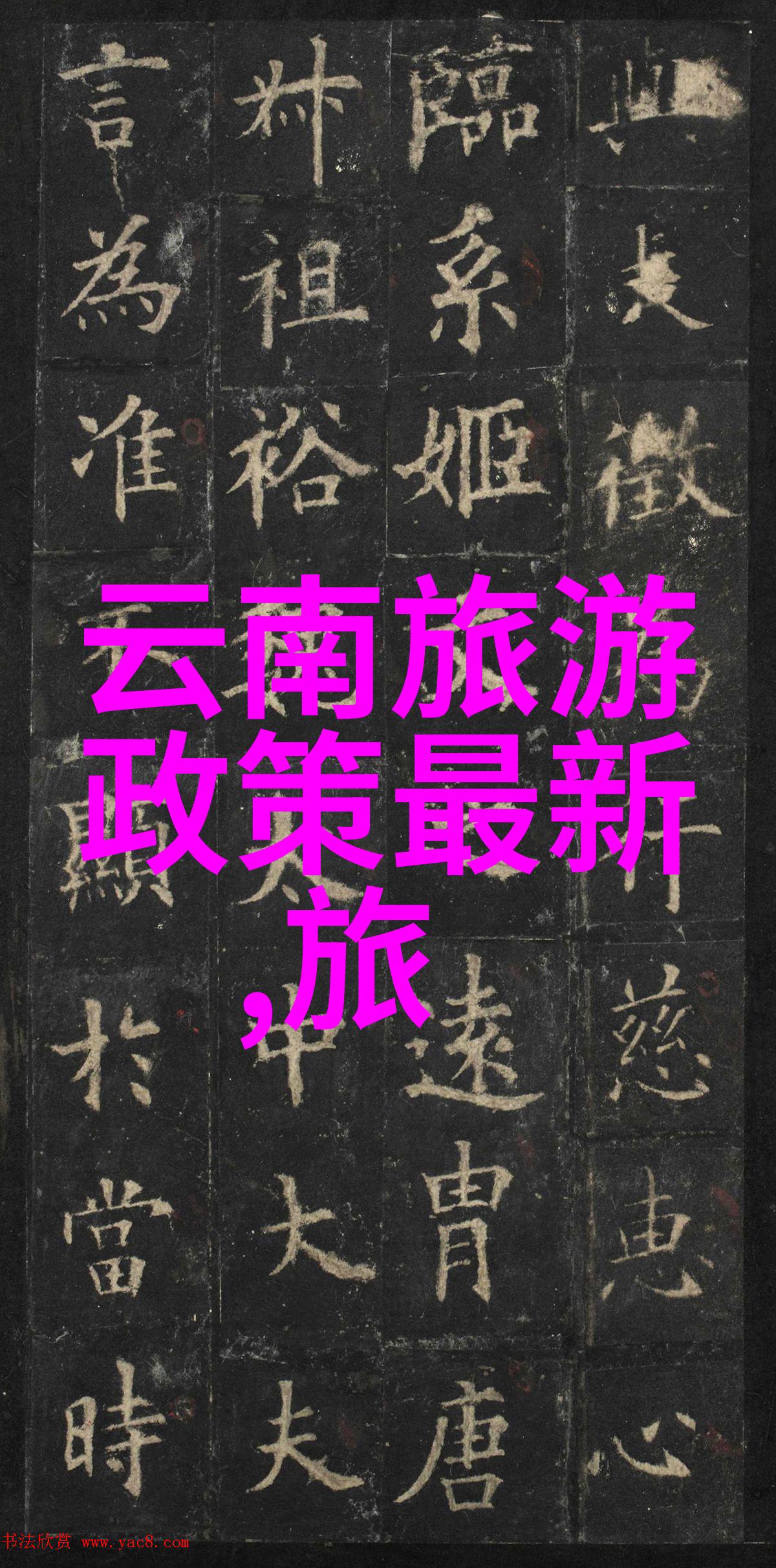 夏日乐趣探索创意户外活动计划