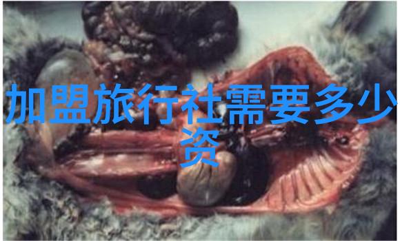 甜到犯规她那无形的魅力与他的不自觉沉沦