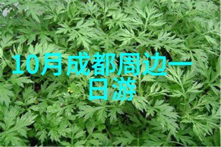 西游记张卫健版我跟着张卫健一起逛了个妖怪缤纷的唐朝