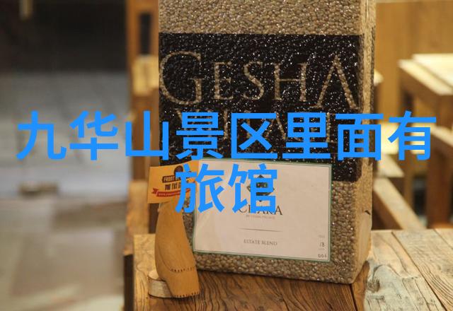 星辰下的猎影探秘那些在无尽夜空中徜徉的星级猎人