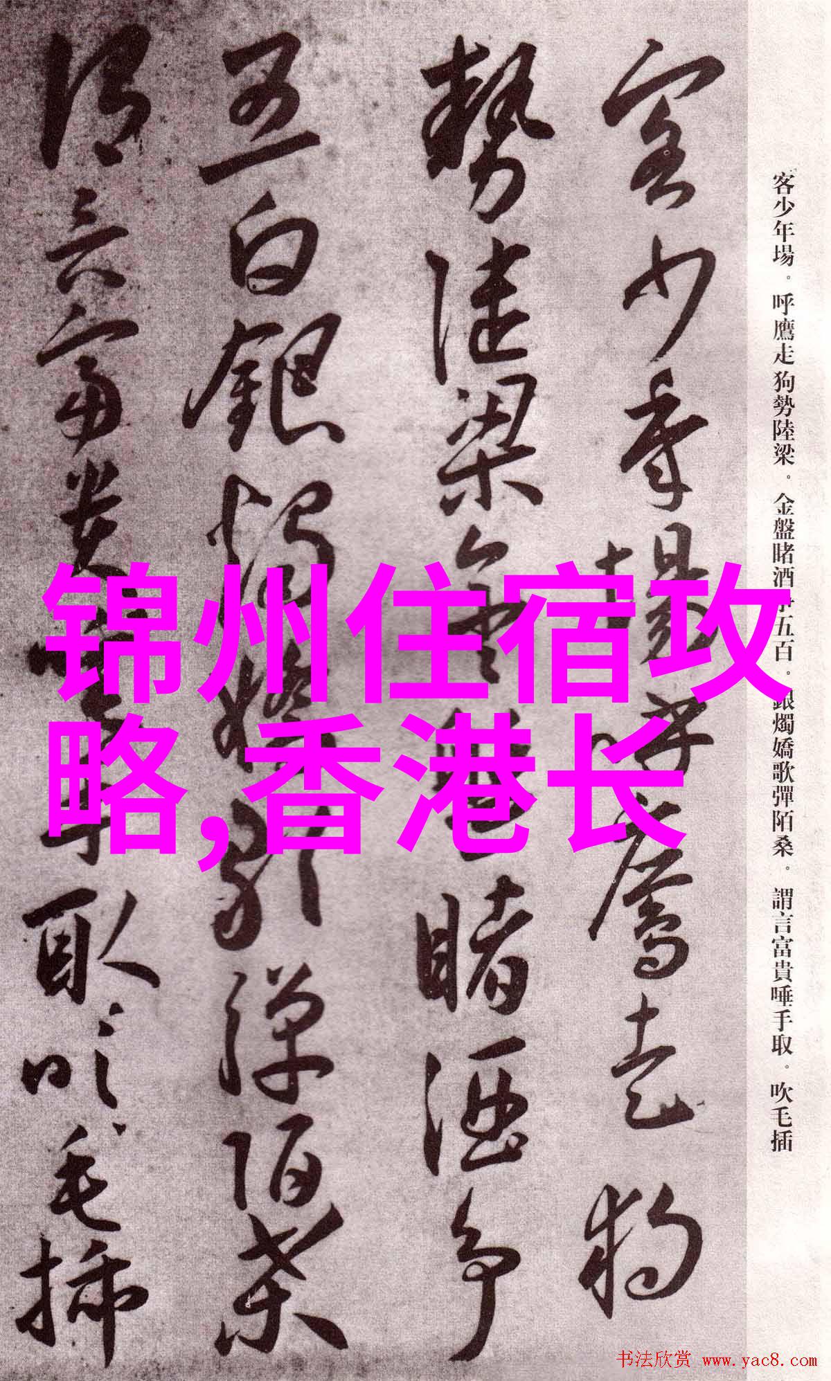 骑行女神自行车带来的女性福祉