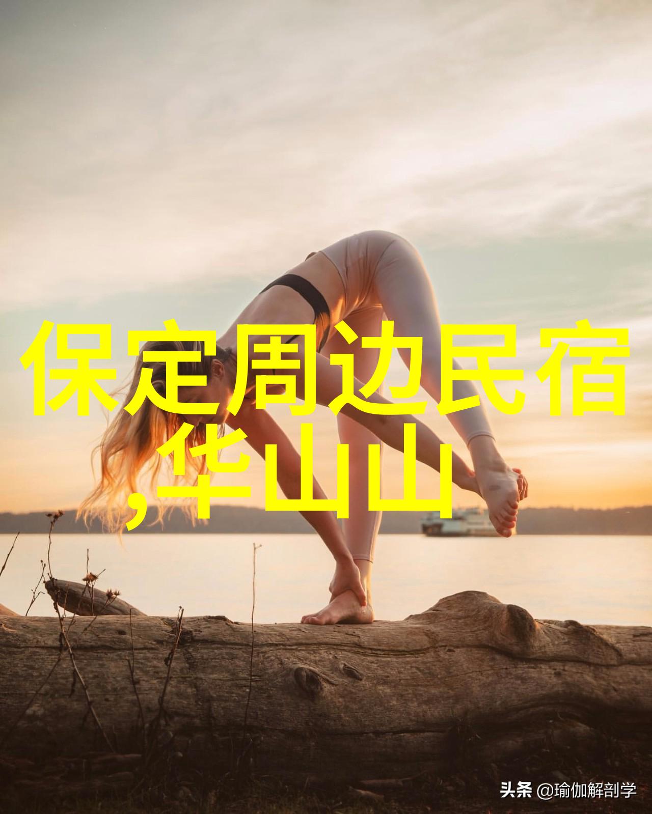 The Art of Adventure Unleashing the Fun in Self-Dr