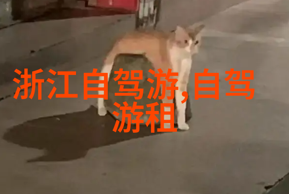 风暴中的安宁极速骑行4手机版的秘密下载之旅