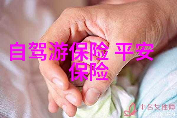 山巅风光初二生的爬山游记探险登高望远的青春旅途