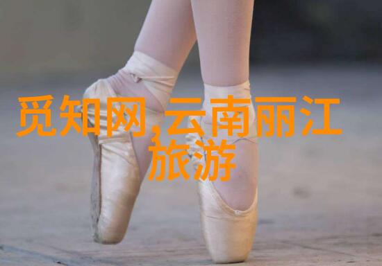 如何在网上找到合适的旅行伙伴探索最佳旅游线路之旅