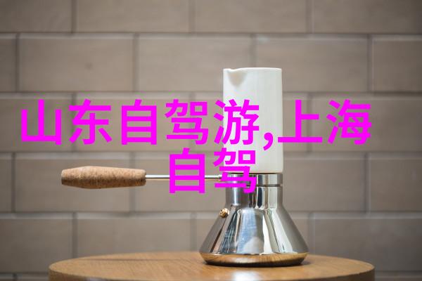 小笼包与饺子大比拼探索两种传统手工艺品味上的差异和共同点