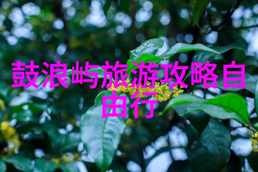 宝泉住宿攻略亲测必备指南