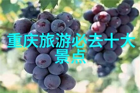 赛里木湖周边旅行攻略如何更好地体验新疆野性之美