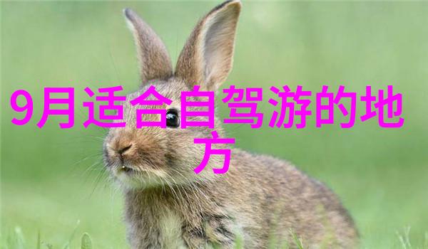 游记作文600初二 - 探索梦想之地初二生的夏日山村游记