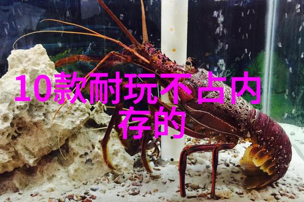 探索中国西部318国道自驾游的文化经济与生态环境影响研究