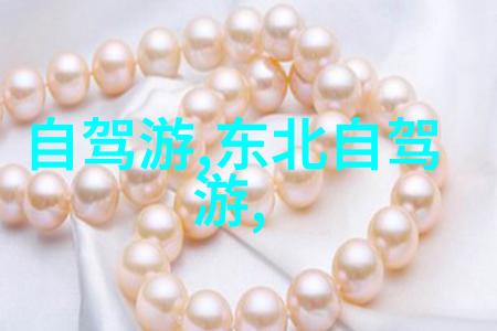 黄浦江畔漫步感受城市绿洲