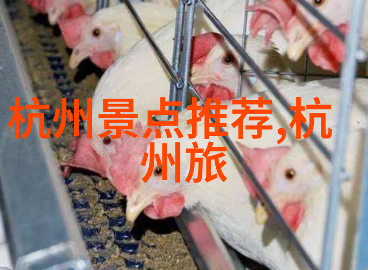 坪山文昌塔探索古代文化遗迹