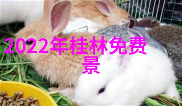 皖南川藏线自驾游宝典揭秘最佳行程与不可错过景点
