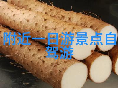 生态旅途绿色出行寻找中国旅游论坛推荐的自然保护区