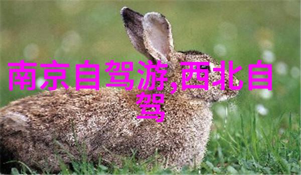 皖南川藏线自驾游攻略 - 横穿青藏大地探秘皖南川藏线的绝美风光与必备准备