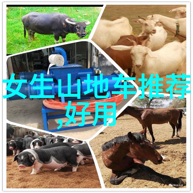 中国古代文化遗产探索中华文明的瑰宝
