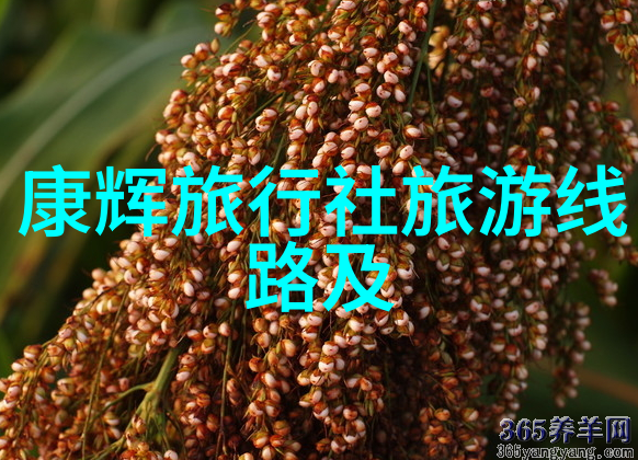探索大连美妙旅程香格里拉之遇