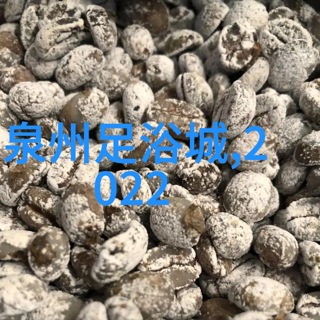 北京牛街十大美食牛肉泡馍烤全羊小笼包手撕饺牛肉汤面大盘鸡红烧肉三明治小吃排名榜