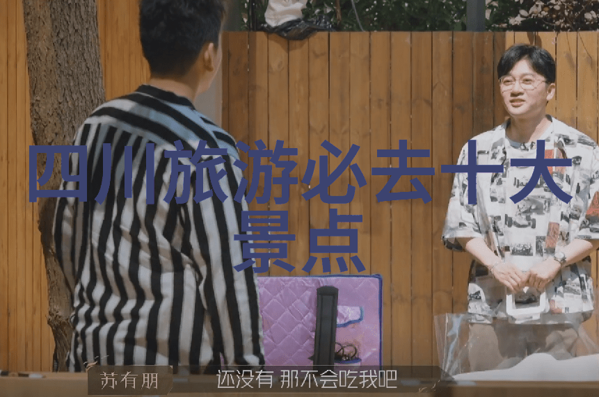 武汉旅游攻略我在武汉的玩转之旅从黄鹤楼到东湖公园