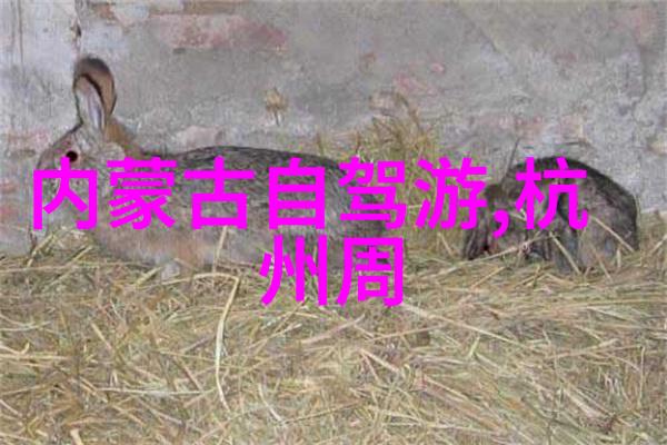 世界十大著名旅游胜地你一定要去一次的神秘奇妙之地