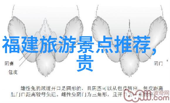四川旅游路线图我在四川的旅行故事从锦里到青城山