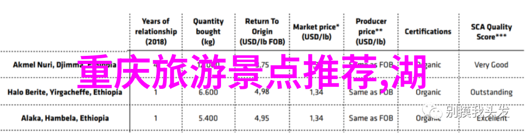 追逐动感时尚趋势哈尔滨国际冰雪节