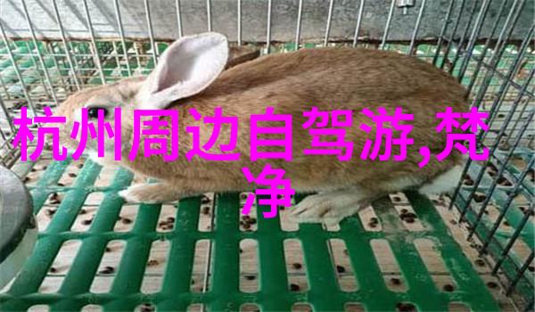 金华金陵江的双重魅力金华市旅游胜地全览