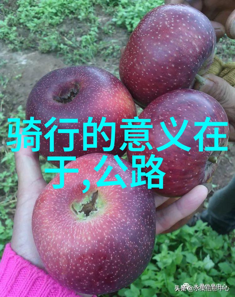 探索自然之美从北京到张家界的四天三夜自驾游经历