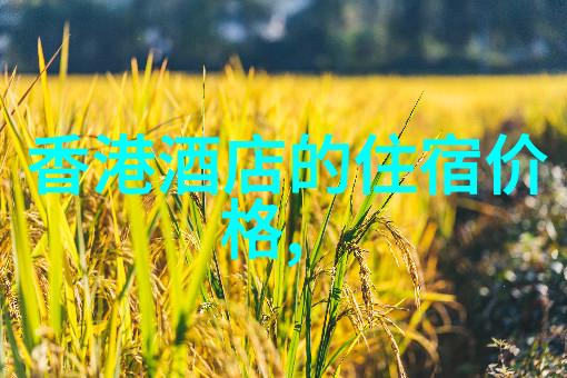 攀登山巅的奇遇初二生的爬山游记