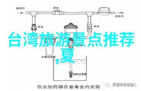 大连旅游自由行攻略-探索金沙滩宝石岛与老虎滩的完美旅行指南