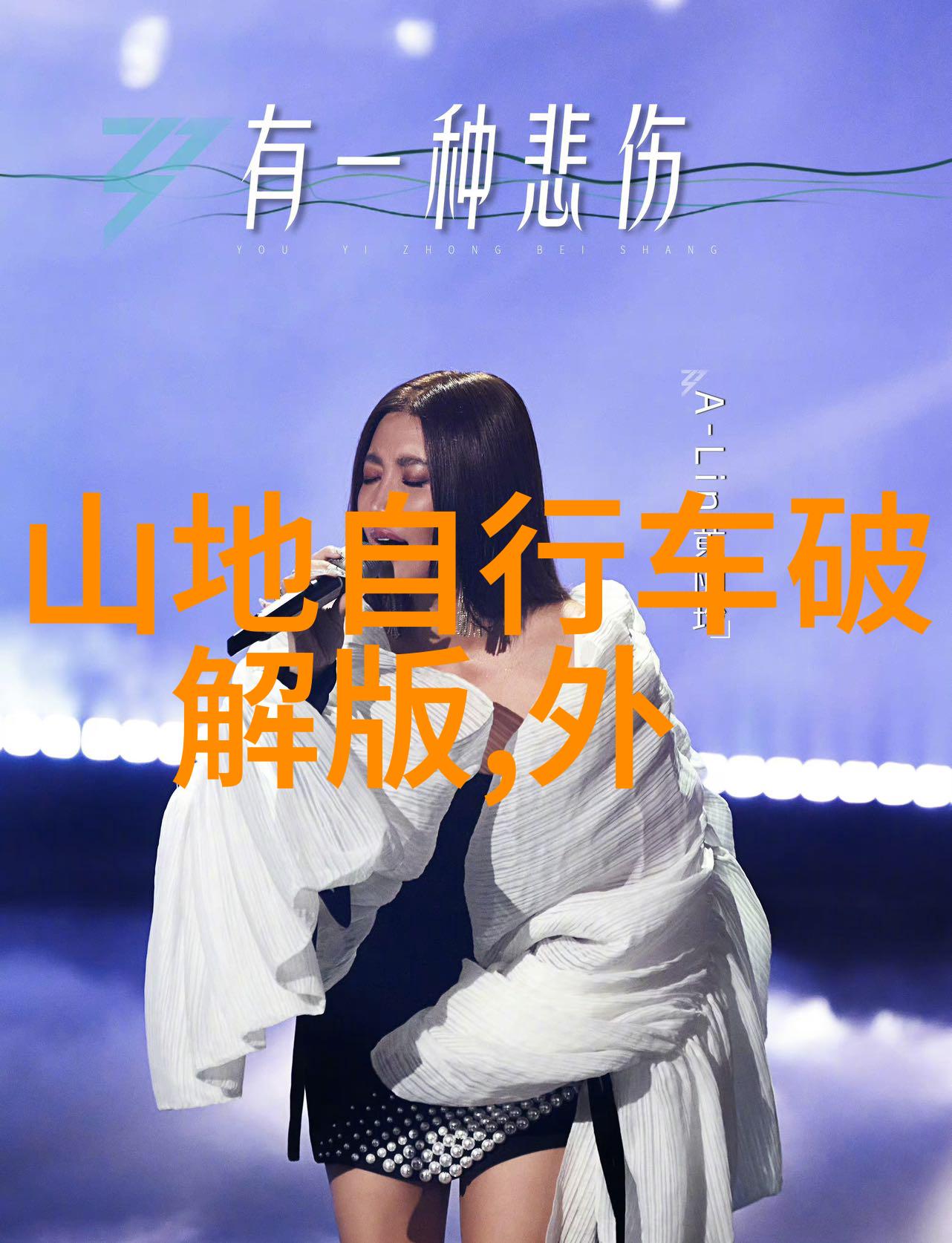 罄竹难书之飞贼小兰花 - 飞贼小兰花盗窃与诗意的交响