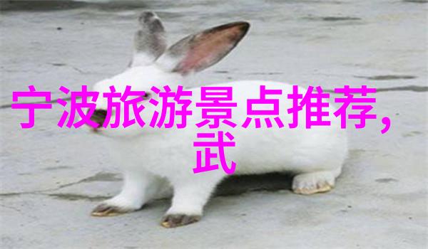 我们可以通过什么方式记录自驾游中的美好瞬间