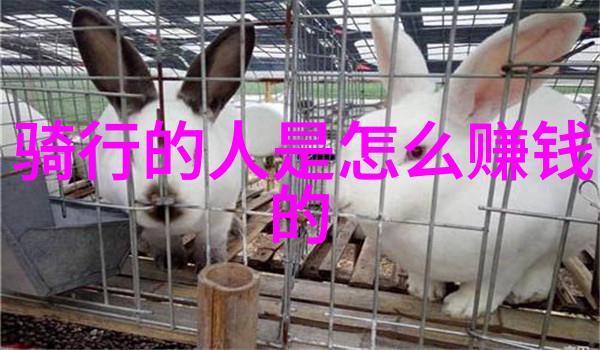 为何说小游戏对于提升员工创新能力至关重要