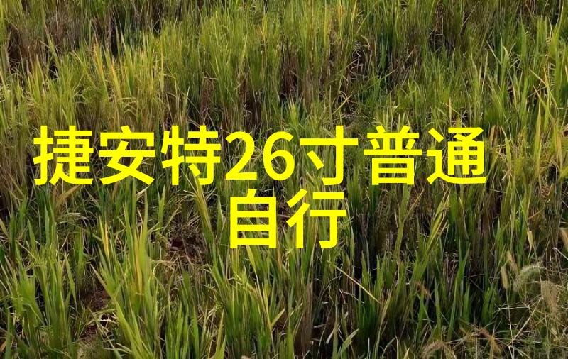 泰安美景漫步探索山城古韵与自然之美