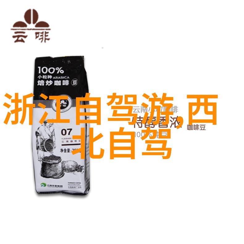 乌镇旅游攻略自由行 - 漫步古韵探索乌镇的迷人风情与精彩之处