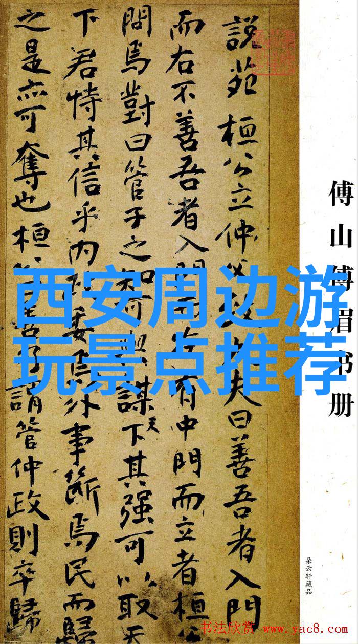 公交车最后一排的群C风采一个充满欢声笑语的日常旅行记录