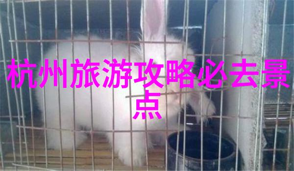 什么小吃比较火爆摆摊我街角的热销大王揭秘那些走俏街头的小吃