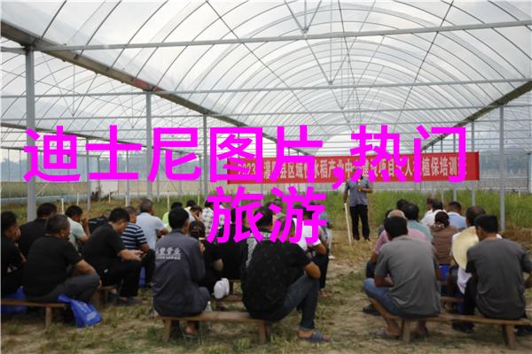 东部华侨城国际主题乐园刺激与乐趣相伴