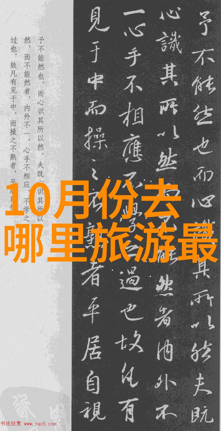 技巧与勇气并存极速骑行4最直赛道选手的心路历程