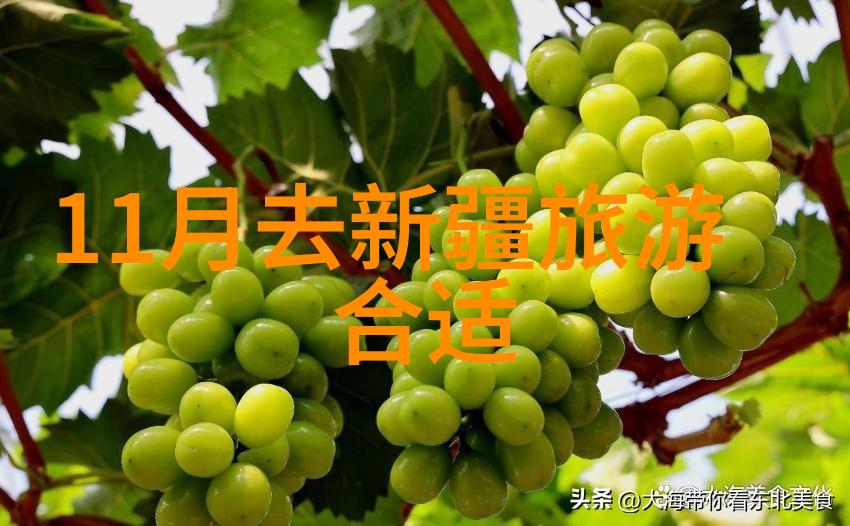 海外旅行指南探索全球安全可游目的地