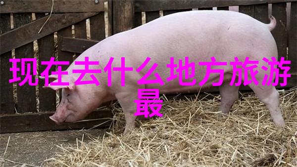 武汉旅游攻略-探索千年古城武汉一日游必看景点指南