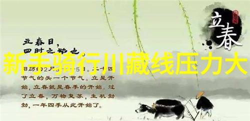 北京必去小吃街 - 传统美食之旅品味故宫边的风味路