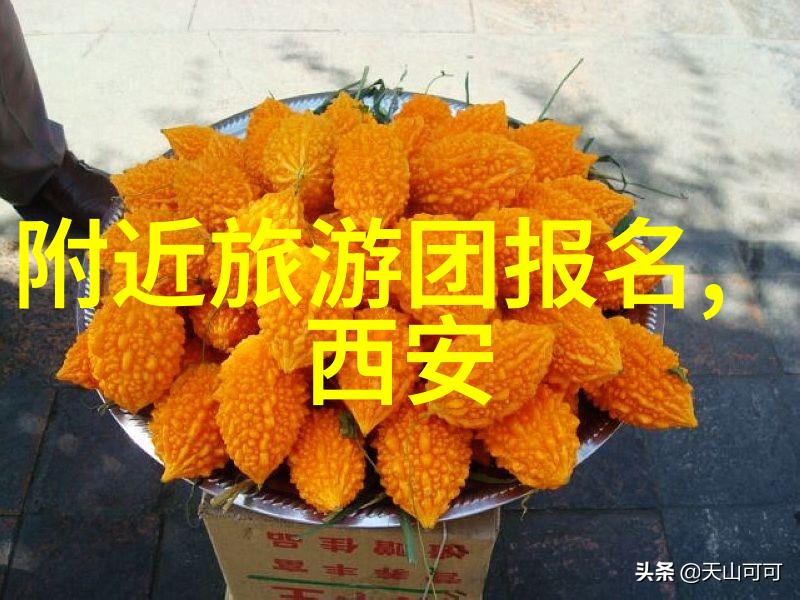 主题-初中生的夏日山村游记探秘田园风光