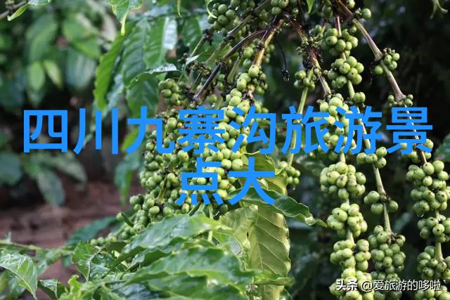 苏州园林探索古典园林的魅力